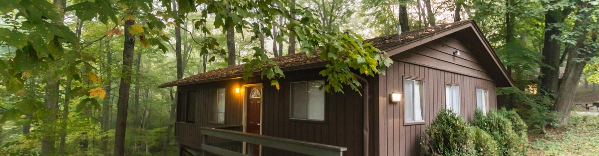 A small brown wooden cabin with a porch sits among tall, leafy trees in a forest. A lit porch light glows by the door, and a charcoal grill is on the ground nearby. Fallen leaves cover the ground around the cabin.