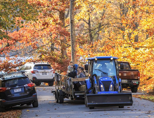 Tractor pulled hay wagon travels along a road surrounded by colorful autumn trees.