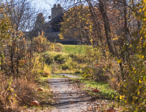 A wooded walking path covered in fallen autumn leaves leads toward a stone building surrounded by colorful fall foliage.