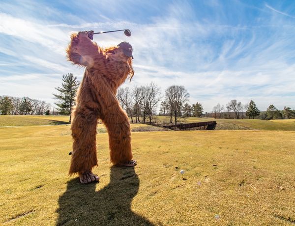 A person dressed as Bigfoot stands on a golf course, mid swing.