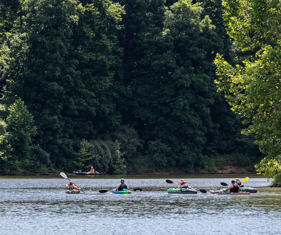 People are kayaking on a calm lake surrounded by dense green trees, with sunlight filtering through the foliage. One person in a canoe is visible in the background near the shore.